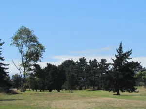 Foxton Golf Club North Island New Zealand