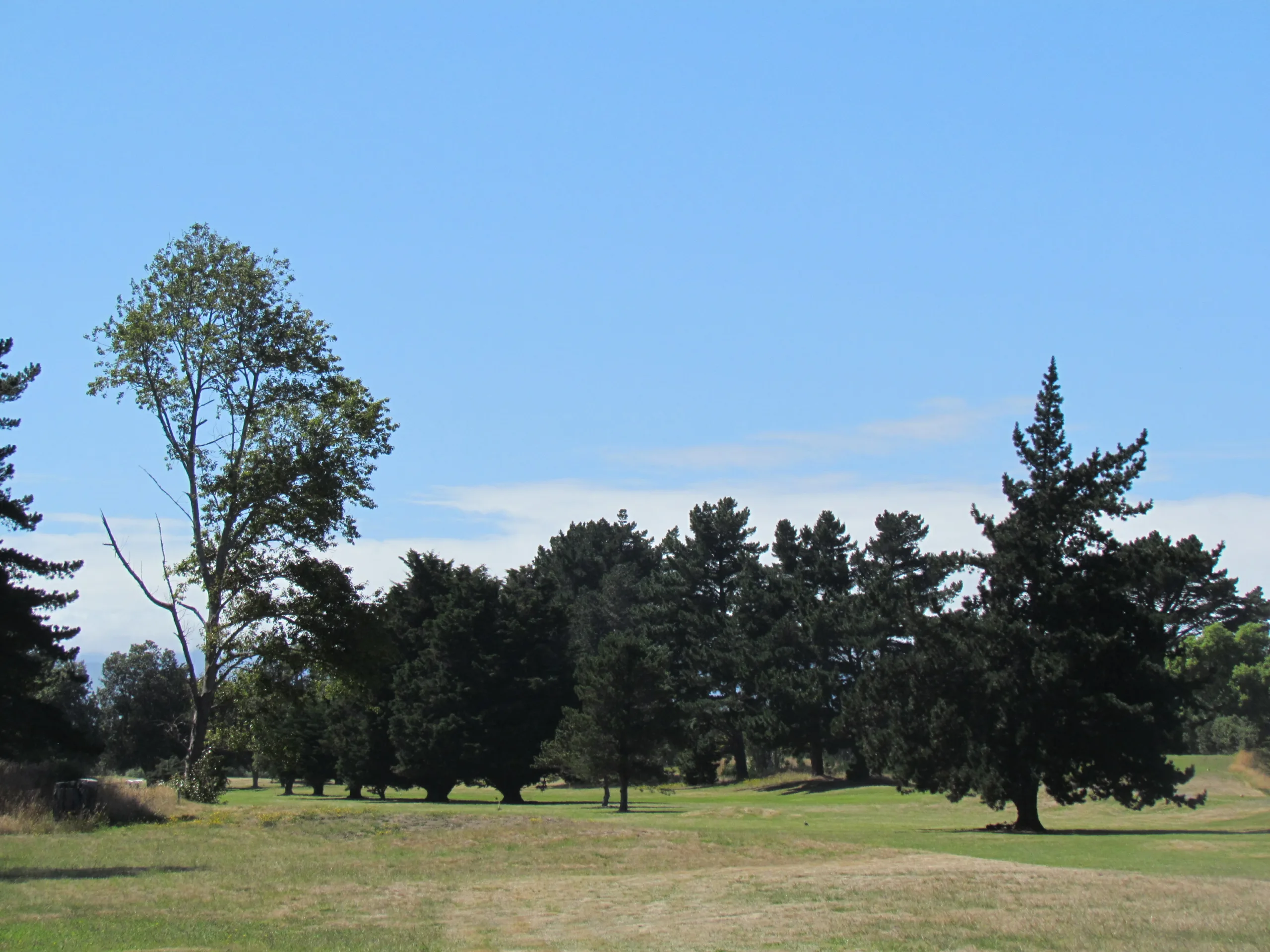 Foxton Golf Club North Island New Zealand scaled