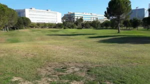 Golf Park Madrid Community Of Madrid Spain