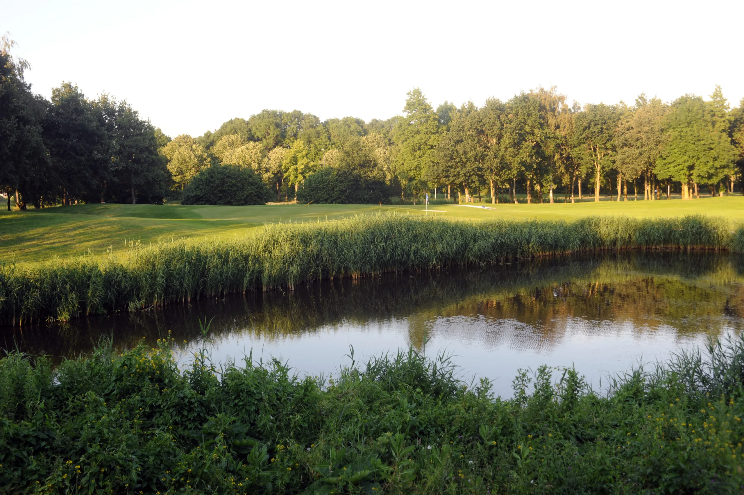 Golfcentrum De Hoge Dijk – Public Golf Courses in North Holland, The Netherlands