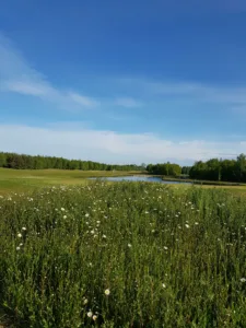 Golfclub De Compagnie Veendam Groningen The Netherlands