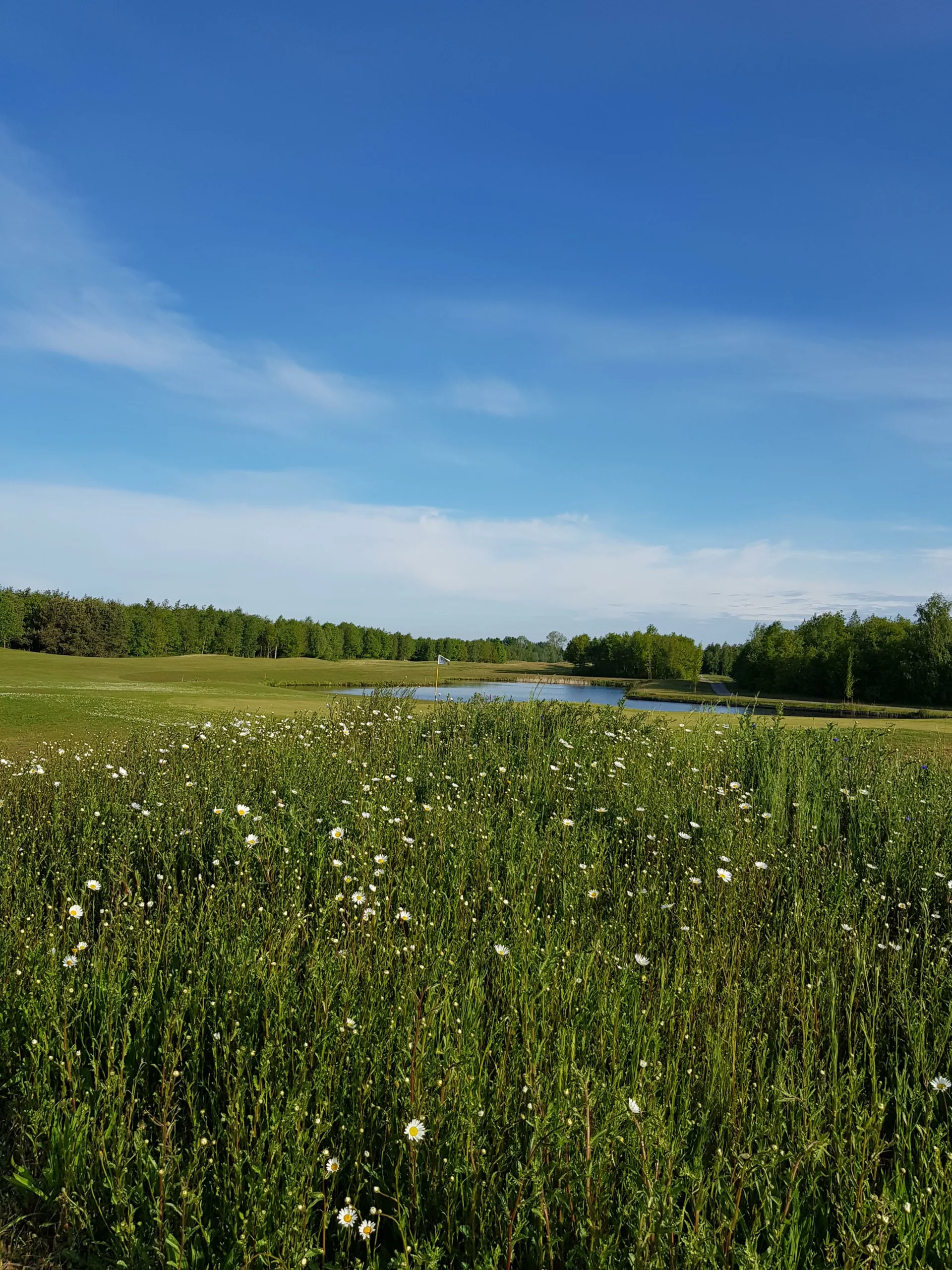 Golfclub De Compagnie Veendam Groningen The Netherlands scaled