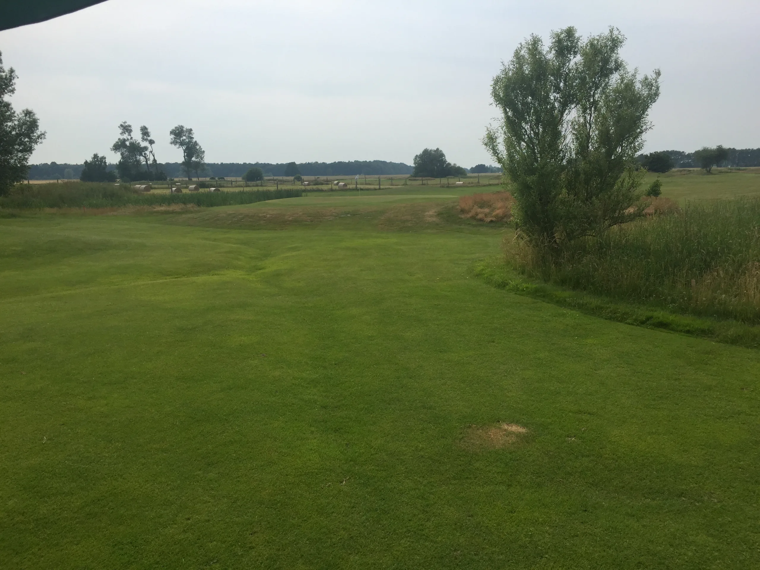 Golfclub Zum Fischland e.V. – Public Golf Courses in Mecklenburg Vorpommern, Germany