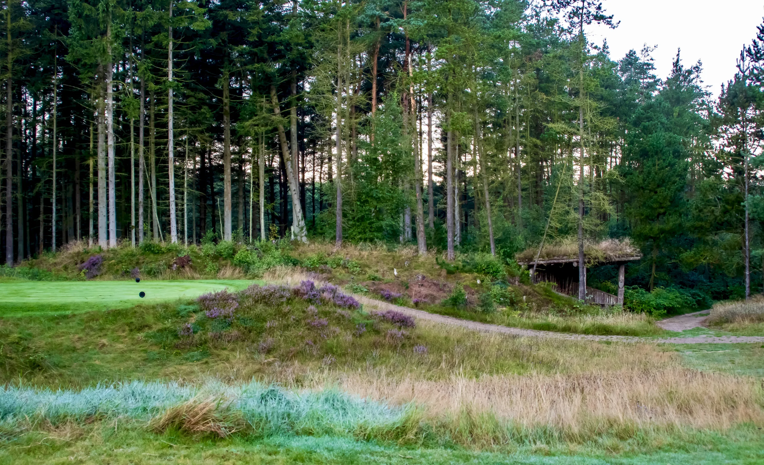 Holstebro Golfklub – Public Golf Courses in Central Denmark, Denmark