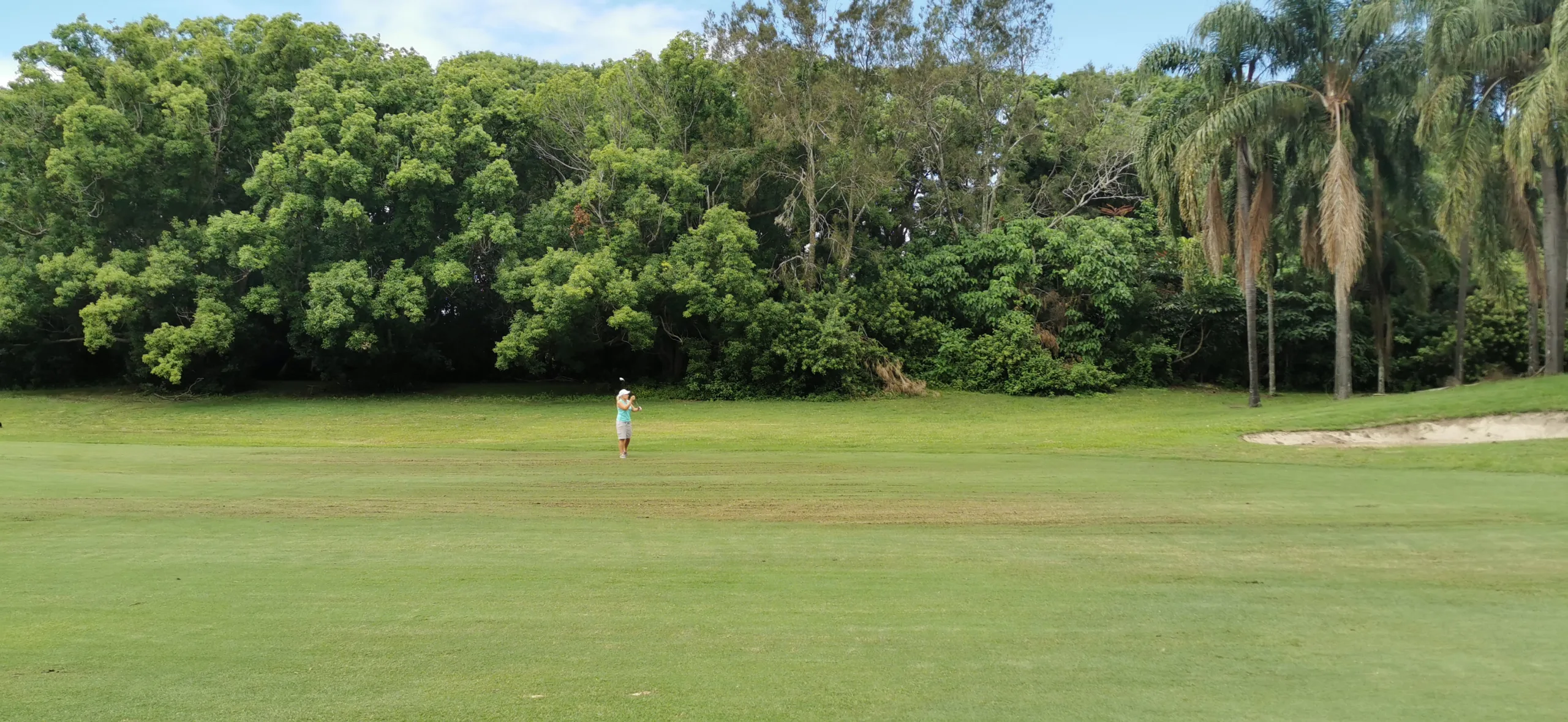 Palm Meadows Golf Course Queensland Australia scaled