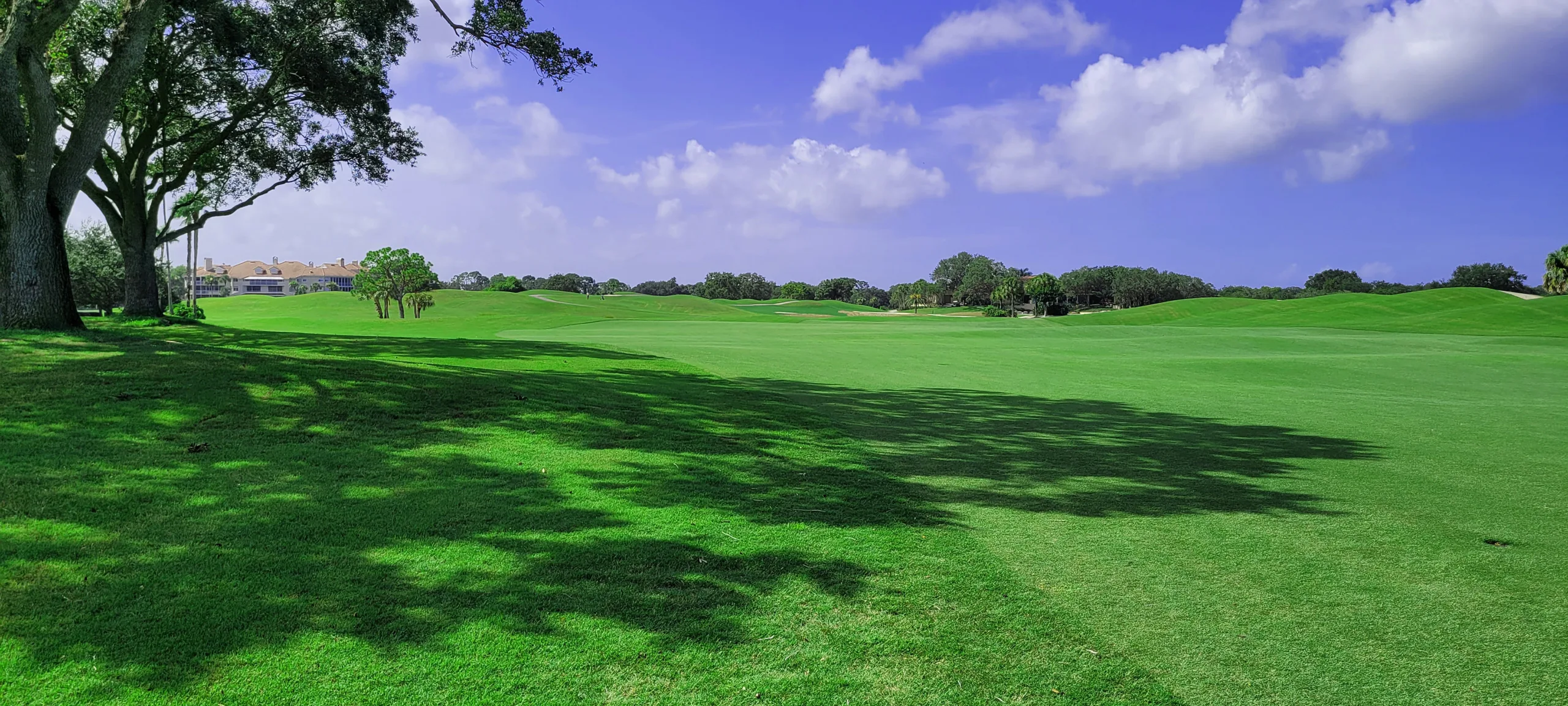 TPC Prestancia – Public Golf Courses in Florida, United States Of America