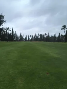 Wailua Municipal Golf Course Hawaii United States Of America