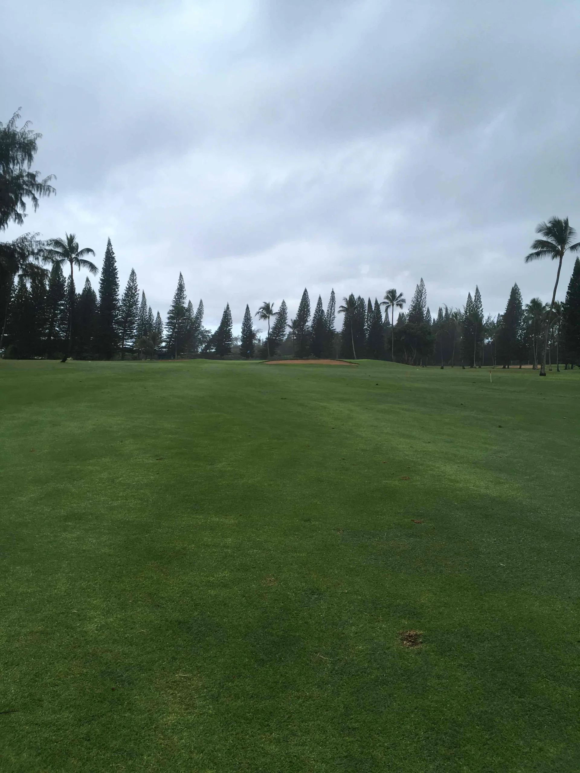 Wailua Municipal Golf Course Hawaii United States Of America scaled