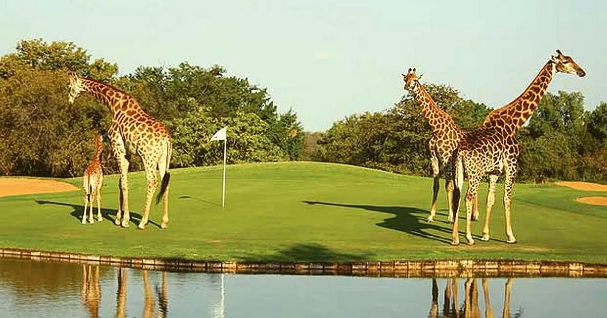 The 15 Best Cities in Africa for Golfing Tourists